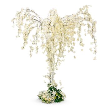Cherry Blossom Tree (White-White)