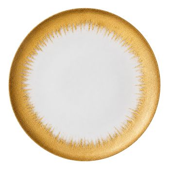 Solaris Charger Plates