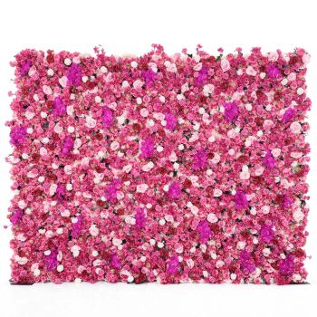 Fuchsia Romance