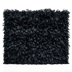 Obsidian Plume