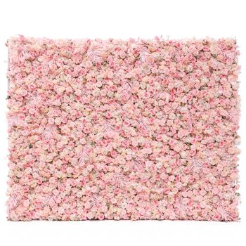 Pink Dreams