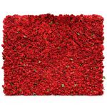 Red rose flower wall backdrop with dense blooms, classic romantic wedding photo backdrop panel for ceremonies and event photo ops.