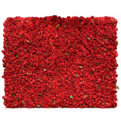 Red Roses