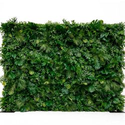 Tropical Foliage