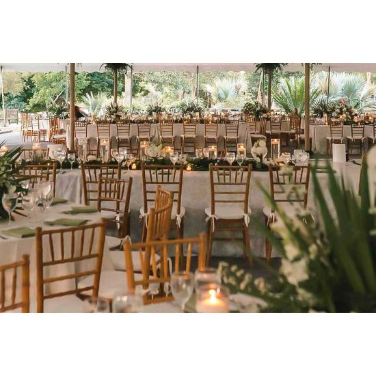 Gold resin Chiavari chair with Light Pink  cushion seat, spindled high back and slim four-leg frame, elegant event seating