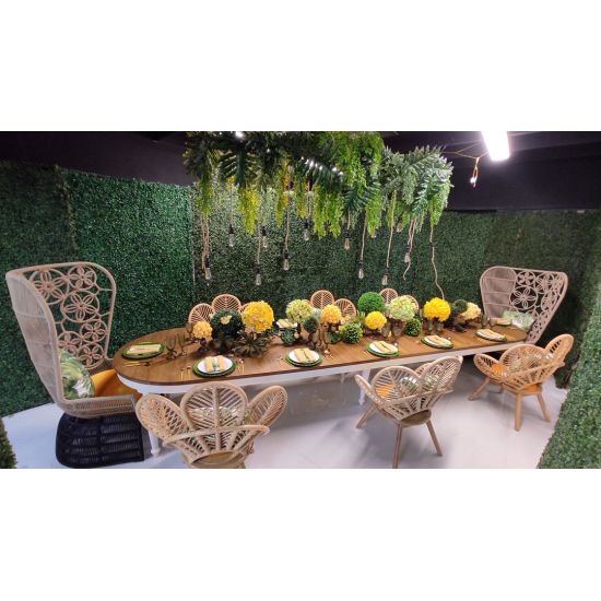 Plumage chair with fan-shaped rattan back and white cushion, boho statement seating rental for weddings and event lounges.