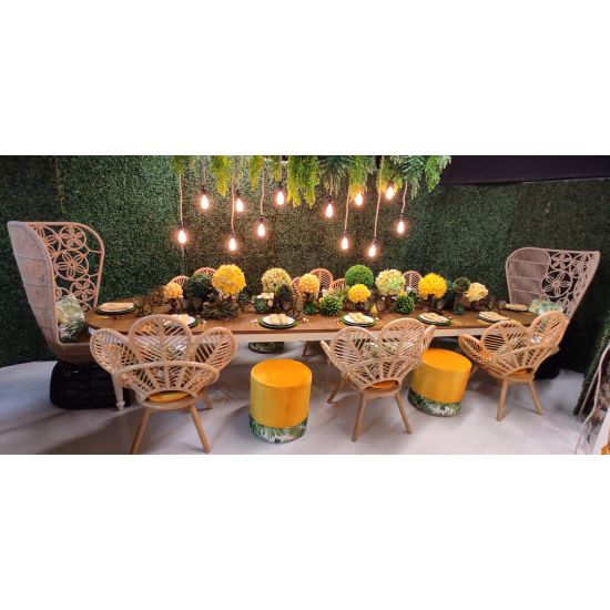 Plumage chair with fan-shaped rattan back and white cushion, boho statement seating rental for weddings and event lounges.