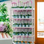 White boho-style open-shelf bar-back unit with multiple display tiers for event cocktail setups