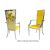 Botanical Gardens Armchair Silver Cushion Yellow