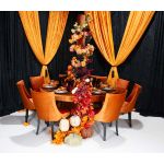 Isabella dining chair with Orange upholstered seat and curved high back, natural wood legs, modern seating for weddings, parties, and events.