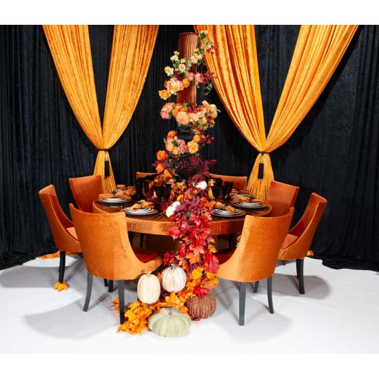 Isabella dining chair with Orange upholstered seat and curved high back, natural wood legs, modern seating for weddings, parties, and events.