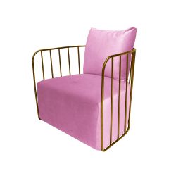 Reflection Accent Chair Bars Gold - Light Pink Velvet