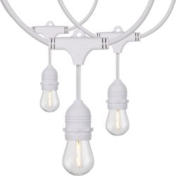 Bistro Lights White