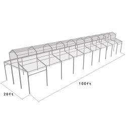 Cathedral Structure 20'x100' Silver Frame Clear Top - Garden Tent
