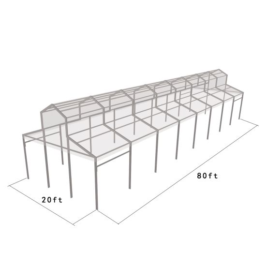 20′x80′ cathedral structure tent with black frame and clear top canopy for elegant outdoor events and garden weddings