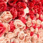 Ombre flower wall backdrop with red, blush, and ivory blooms in horizontal bands, romantic wedding photo backdrop panel for events.